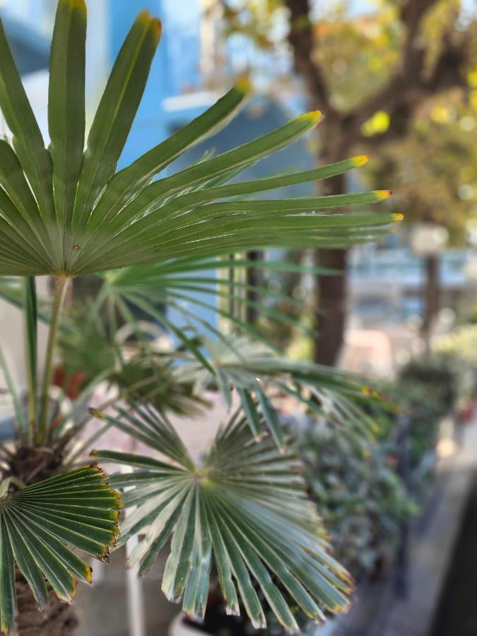 Hotel Marittimo Rimini Dış mekan fotoğraf